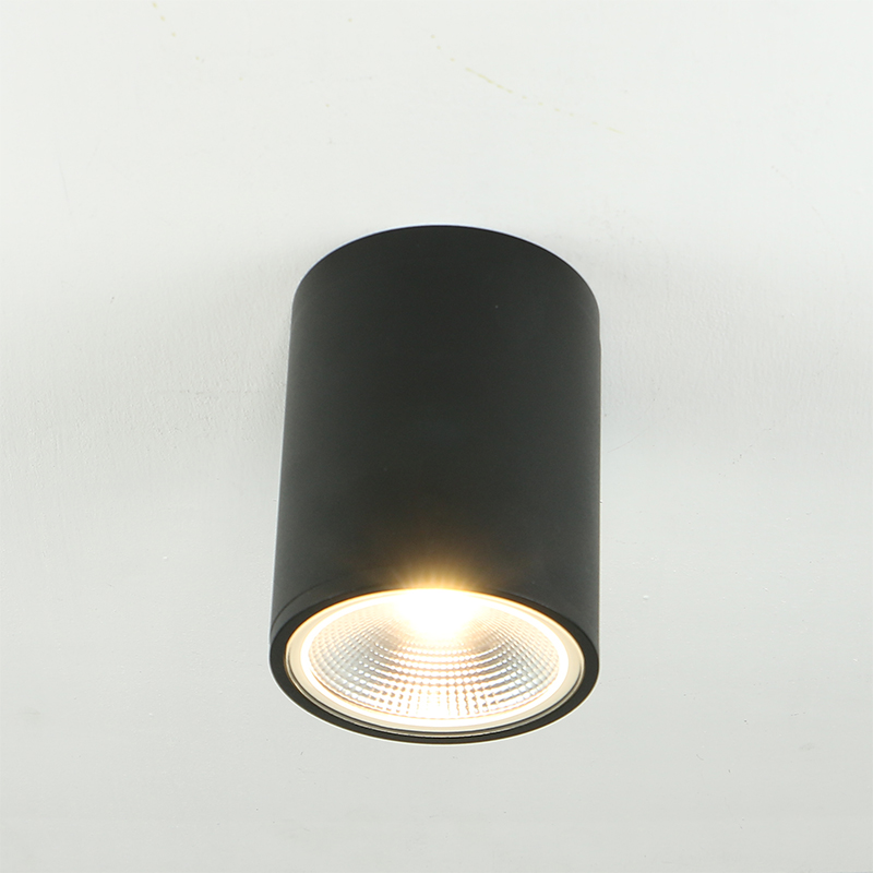 Modern Led Outdoor Wall Sconce Down Lighting