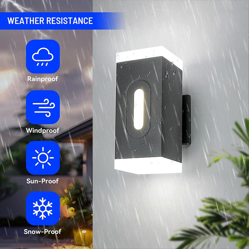 Wall Mounted Lights